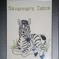 Zebra Foal Embroidery Design on White Denim